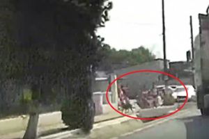 Judetul Constanta: Șofer de TIR, la un pas sa spulbere doua femei si un copil, dupa o sicanare in trafic