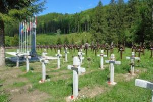 Parlamentarii UDMR Korodi Attila şi Tanczos Barna, împotriva preluării de către MApN a cimitirului Valea Uzului
