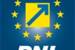 PNL pregăteşte atacarea la CCR a ordonanţei privind Codul administrativ