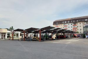 Se redeschide sectorul din Piaţa Decebal dedicat producătorilor. Ce legume de Dumitra veţi găsi