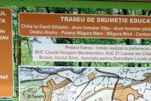 Un traseu de drumeţie pentru turişti, distrus de utilajele forestiere