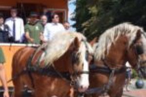 FOTO. Tramvai tras de cai şi garnituri vechi, repuse pe şine la Timişoara