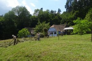 Atelier de cosit în Muzeul ASTRA – Descoperiţi cum se mânuieşte coasa