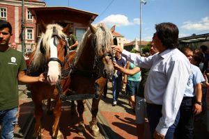 Confetti, Robu tras de cai şi parada tramvaielor vechi, la 150 de ani de transport public la Timişoara