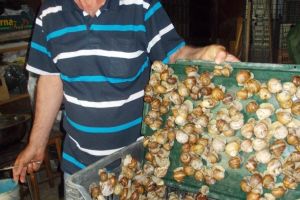 Fost salariat la Dacia, mic intreprinzător, RUINAT de PSD!