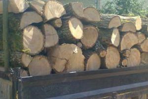 Transporta lemne cu o autoutilitară, fără să deţină permis de conducere