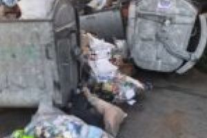 Se fură din parcările judeţului! Căutătorii prin gunoi iau acasă ca bonus şi containerele