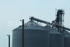 O societate cere elaborarea unui PUZ pentru construirea a doua magazii de cereale in judetul Constanta (document)