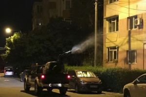 Constanta. Continua actiunile de dezinsectie. In ce cartiere se actioneaza zilele acestea (galerie foto)