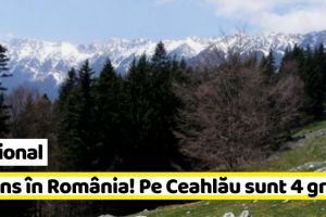 Naţional: A nins în România! Pe Ceahlău se înregistrează 4 grade