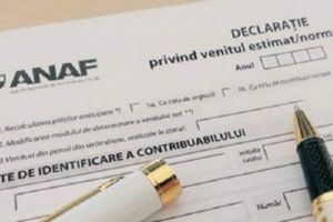 Declaraţia unică se depune până la data de 31 iulie 2019