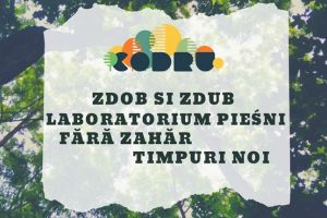 Festival inedit aproape de Timişoara. Codru Fest uneşte natura cu muzica şi arta