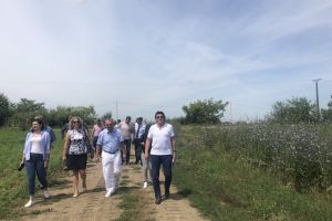 Robu, pe şantierul şoselei care leagă Timişoara de Drumul Boilor: O vom avea în prima parte din 2020