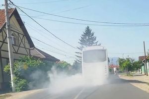 Federaţia Transportatorilor ia partea PSD în privinţa Legii care blochează transportul metropolitan. Replica AMB