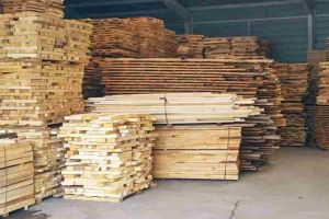 Peste 17 metri cubi de cherestea şi o autoutilitară confiscaţi în urma unui control pe DN 1, pe raza oraşului Cugir