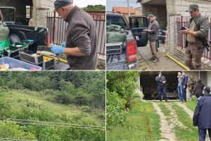 UPDATE FOTO, VIDEO: Acţiunea de căutare a ursului de la Pâclişa. Forţele de ordine şi vânătorii, pe urmele sălbăticiunii. Focuri de armă în timpul goanei după animal