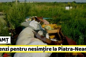 NEAMȚ: Amenzi pentru nesimţire la Piatra-Neamţ (FOTO)