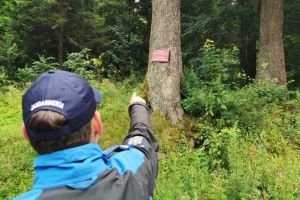 Urs rănit lângă staţiunea Băile Tuşnad. Jandarmii au izolat zona