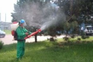 Doua saptamani de dezinsectie terestra in Braila