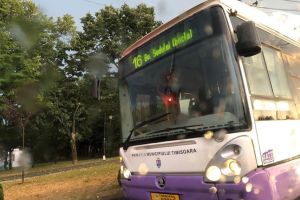 Festivalul bicicliştilor dă peste cap circulaţia mijloacelor de transport în comun