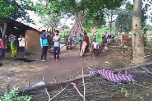 Fetiţă de 7 ani ucisă de un elefant. Animalul a luat-o cu trompa din pat şi a strivit-o