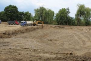 Bazinul Olimpic şi Patinoarul, promise pentru 2020