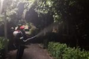 Salubritate Craiova SRL intensifică dezinsecţia. Noi etape de intervenţie, în perioada 11-21 iulie 2019