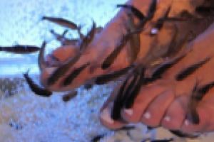 Afacerea în care îşi poate băga oricine picioarele, la propriu