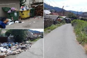 FOTO| Știrea ta: Gunoiul, lemnele şi bălăriile. Ingredientele unei reţete care nu este pe placul locuitorilor dintr-un oraş din Munţii Apuseni
