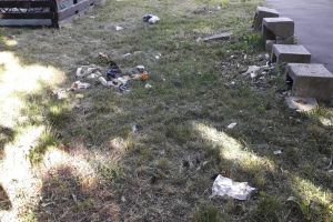 În ce hal poate să arate părculeţul din zona Gării Bistriţa (FOTO)