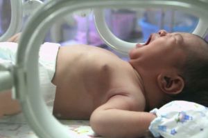 Licitaţie pentru 1117 incubatoare, în curs de finalizare