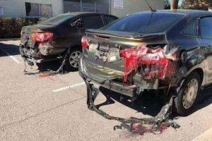 Vara lui 2019, cu un pas mai aproape de Apocalipsă