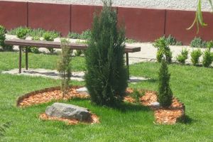 Primăria Gheorgheni angajează muncitor calificat pentru administrarea zonelor verzi