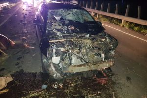UPDATE VIDEO FOTO – Accident grav pe DN14 – Căruţă lovită de o maşină – Cinci răniţi şi un cal mort