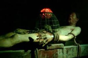 Metoda înfiorătoare a torturii cu şobolani – Probabil cel mai îngrozitor mod de a muri