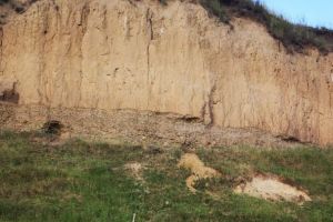 Prin Romania. Aventuri spre targ. Patru tineri au cazut cu caruta in prapastie. Patru victime. Una este in coma 