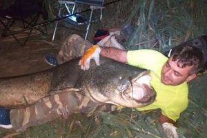 FOTO. Un bărbat din Alba, stabilit în Spania, prinde “monştrii” pe râul Ebru: Captură record, un somn de 2 metri jumătate