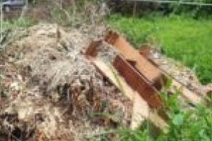 Nimeni nu mai face curăţenie în oraş! Vegetaţia tăiată prin cartierele lugojene, lăsată să putrezească pe străzi