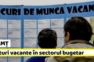 NEAMȚ: 40 posturi vacante în sectorul bugetar la data de 14 iulie