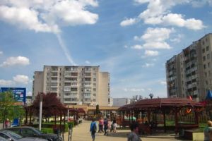 Pisică blocată în canal. Intervine ISU Mureş