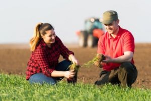 Facilităţi pentru angajarea tinerilor în agricultură
