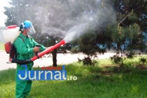Primăria Focşani anunţă  a doua campanie de dezinsecţie
