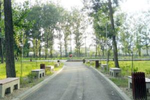 Acord de mediu pentru noile parcuri din Lunca Argeşului