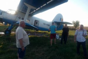 Urmează o nouă acţiunea de dezinsecţie în municipiul Arad