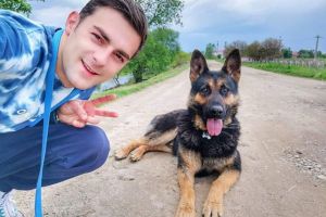 A dispărut Calu în Terezian. Dacă îl vedeţi anunţaţi-i familia