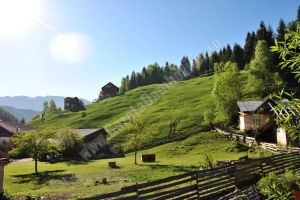 Vremea se încălzeşte uşor, dar valorile termice rămân sub media perioadei