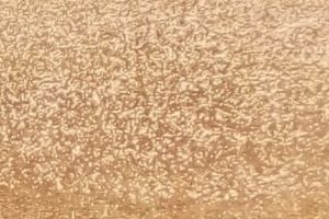 ACUM – POTOP CU GRINDINĂ ÎN CARTIERUL TRIVALE