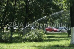 Dupa fantani si bazine ornamentale, River Transnav intretine si sistemul de irigat din municipiul Constanta   (documente)