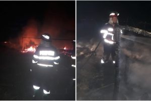 Incendiu in judetul Tulcea. Unde si cu ce forte de interventie actioneaza pompierii