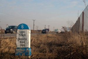 Licitaţie pentru lărgirea la patru benzi a drumului Timişoara-Moşniţa Nouă. Vor planta 1.000 de arbori